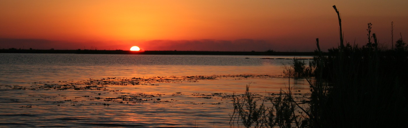 Esteros del Iber, Corrientes