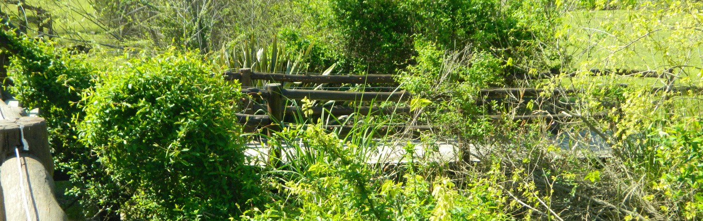 Eco-Hotel en el Delta del Tigre