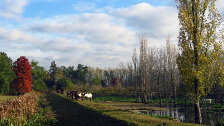 Bonanza, Deltaventura