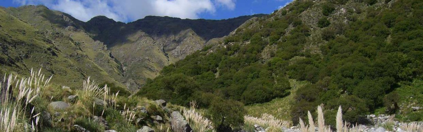 Merlo, San Luis