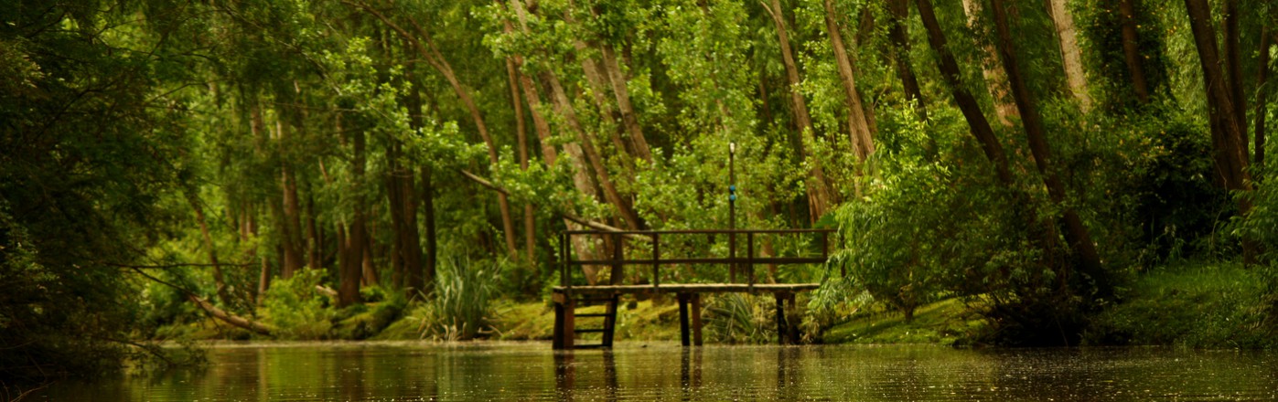 Paseos en Kayak por el Delta