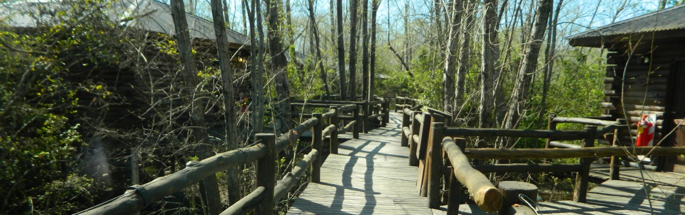 Eco-Hotel en el Delta del Tigre