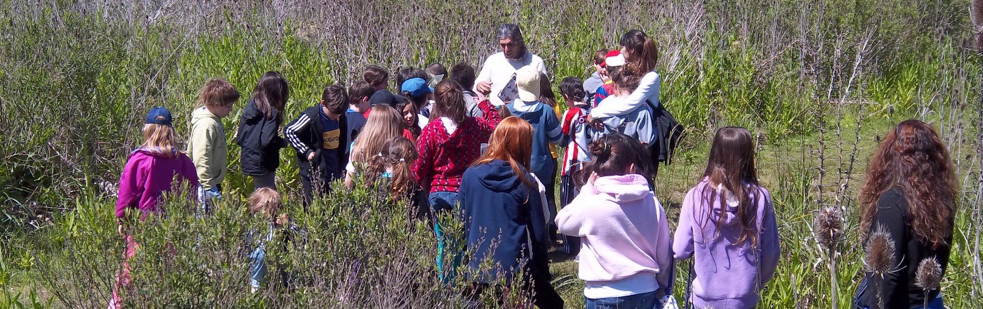 Viajes Educativos & Campamentos