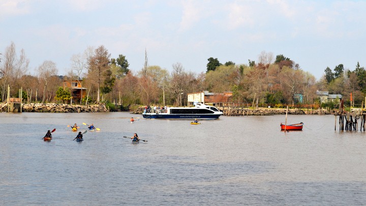 Paseos en Kayak por el Delta