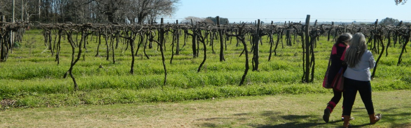 Carmelo, Uruguay