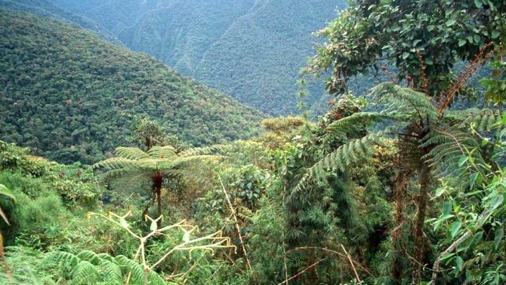 Vuelta al Noroeste Argentino - Tucumn, Salta y Jujuy