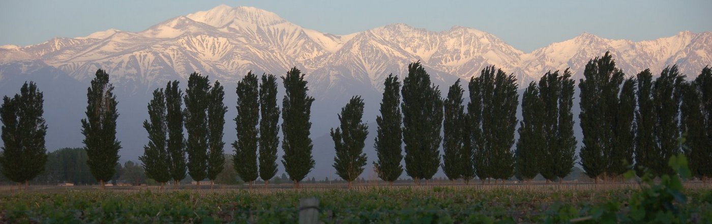 Mendoza